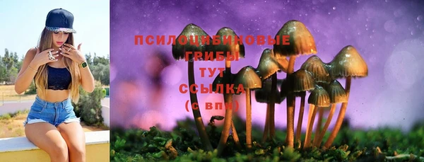 крисы Михайлов