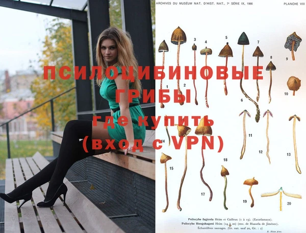 бутират Мегион