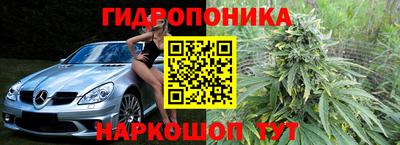 прущие грибы Балашиха