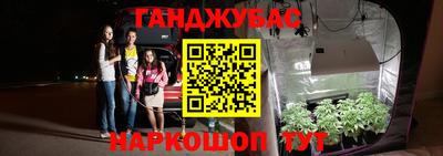 гашик Балахна