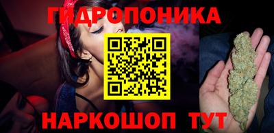 гашик Балахна