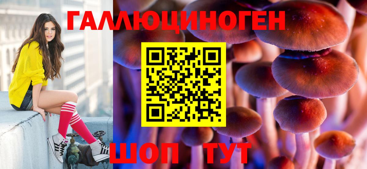 Галлюциногенные грибы Psilocybe  Вход с VPN  Псилоцибиновые грибы MAGIC MUSHROOMS  где купить наркоту  Бийск 